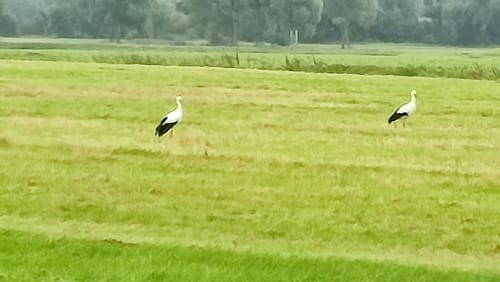 Schwalmtal zwischen Ziegenhain und Loshausen