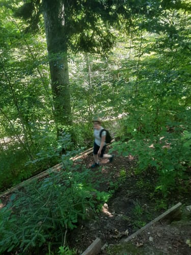 Waldpfad Groppertal (Premiumwanderweg)