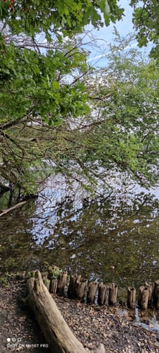Rund um den Liblarer See