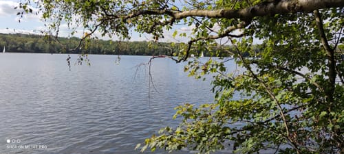 Rund um den Liblarer See