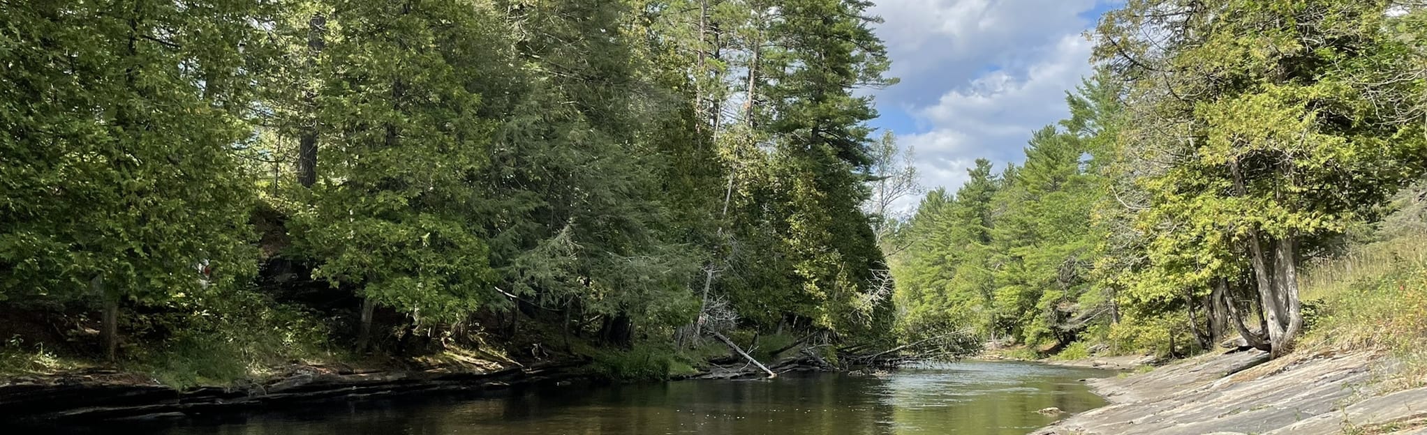 Cotton Island Paddle Map, Guide Ontario, Canada AllTrails