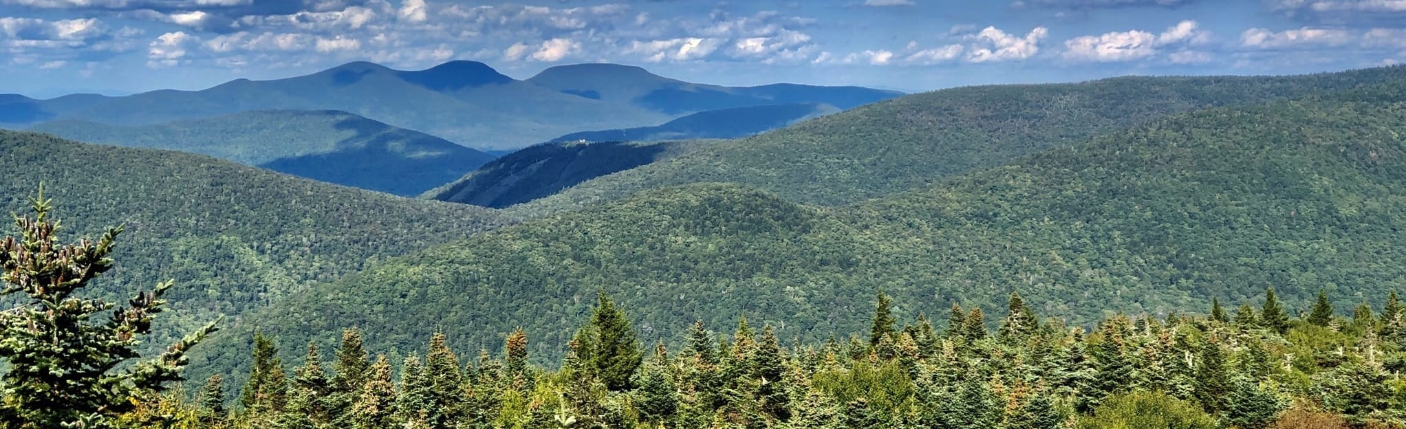 Westkill Mountain via Diamond Notch Trail Map, Guide New York