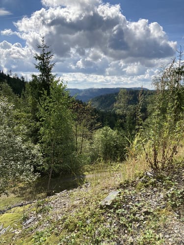 Steinach - Rundwanderweg 3