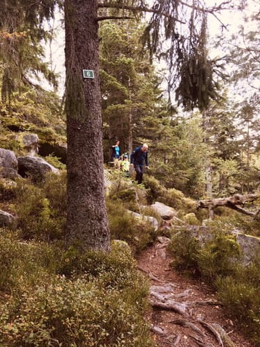 Rundwanderung zum Teufelstisch