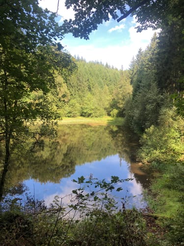 Rund um Camping Reinsfeld