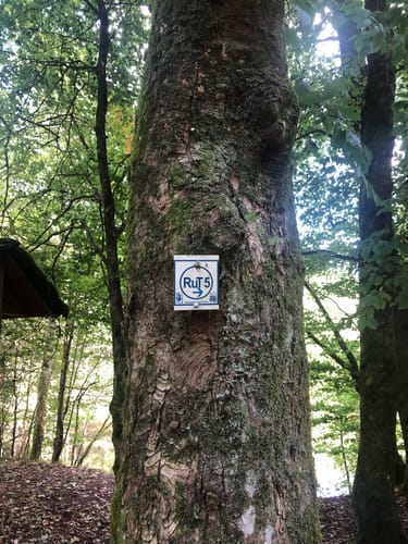 Rund um Camping Reinsfeld