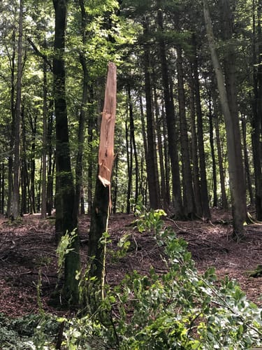 Rund um Camping Reinsfeld