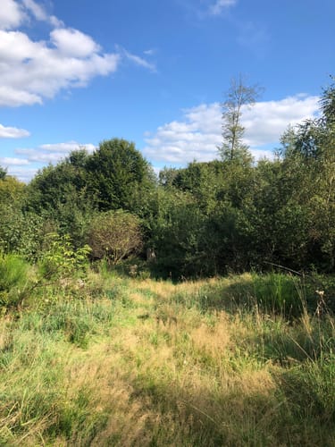 Rund um Camping Reinsfeld