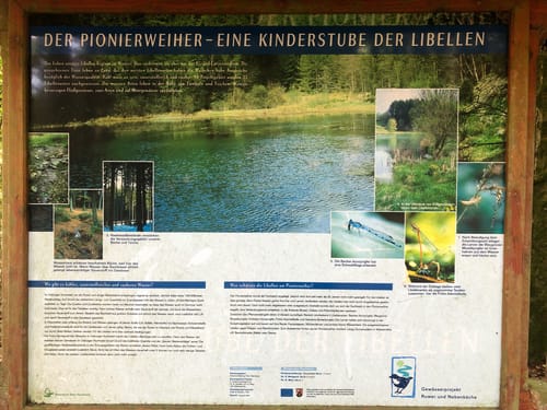 Rund um Camping Reinsfeld