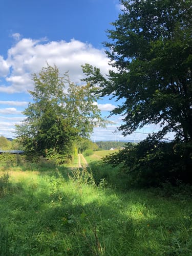 Rund um Camping Reinsfeld