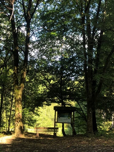 Rund um Camping Reinsfeld