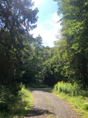 Rund um Camping Reinsfeld