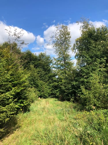 Rund um Camping Reinsfeld