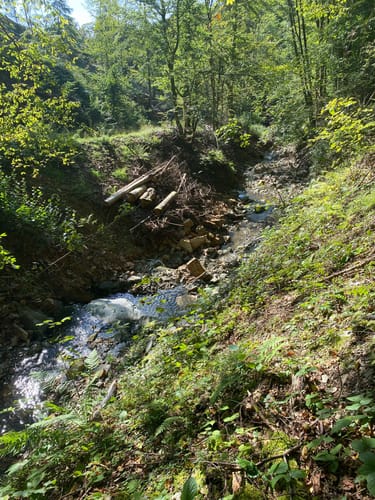 Saynsteig (Traumpfad)