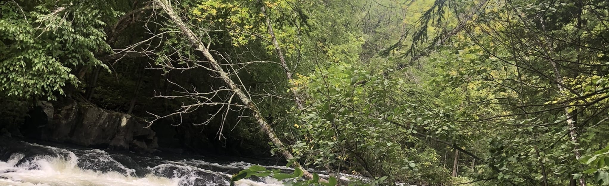 Bagley Rapids Campground 11 Reviews, Map Wisconsin AllTrails