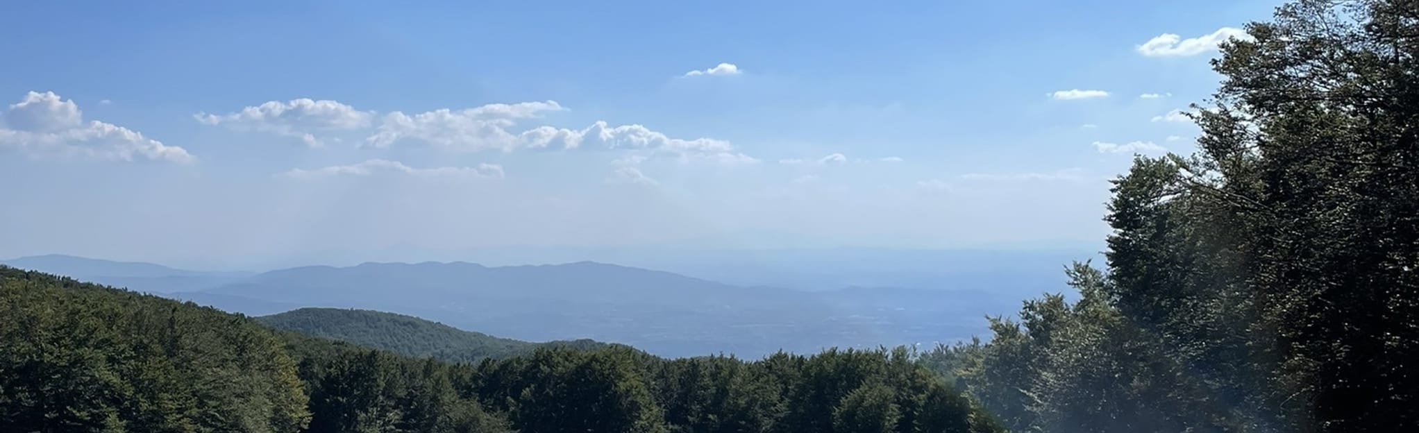 Alpe di Catenaia 4 Photos Toscane, Italie Randonnée AllTrails