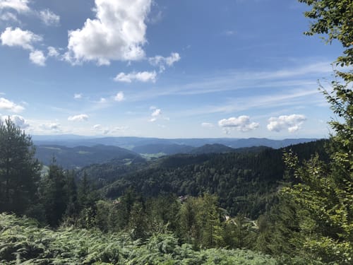 Rund um den Mooskopf