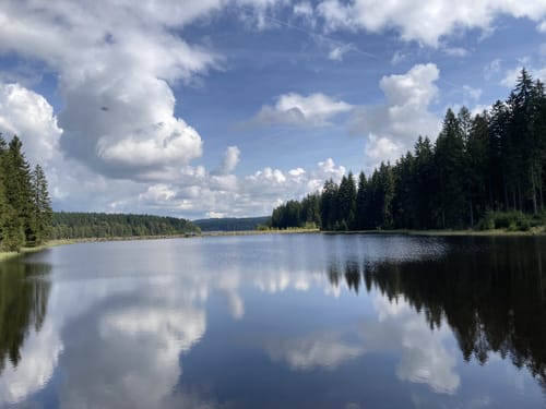 Talsperre Muldenberg