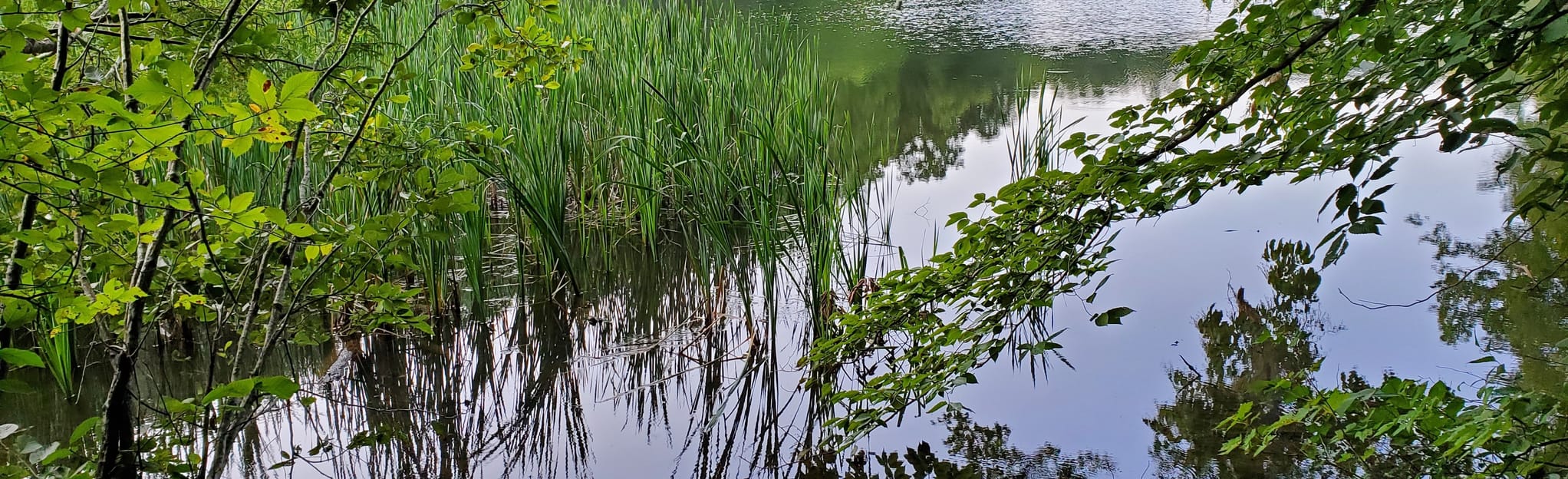 Cave Mountain Lake 14 fotos Virgínia AllTrails