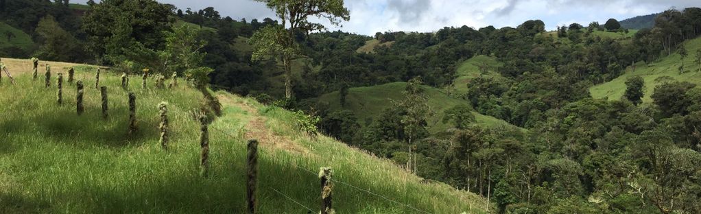 Villa Calas Sendero Anaranjado - Alajuela, Costa Rica | AllTrails