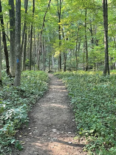 Best Hikes and Trails in Wooster Memorial Park | AllTrails