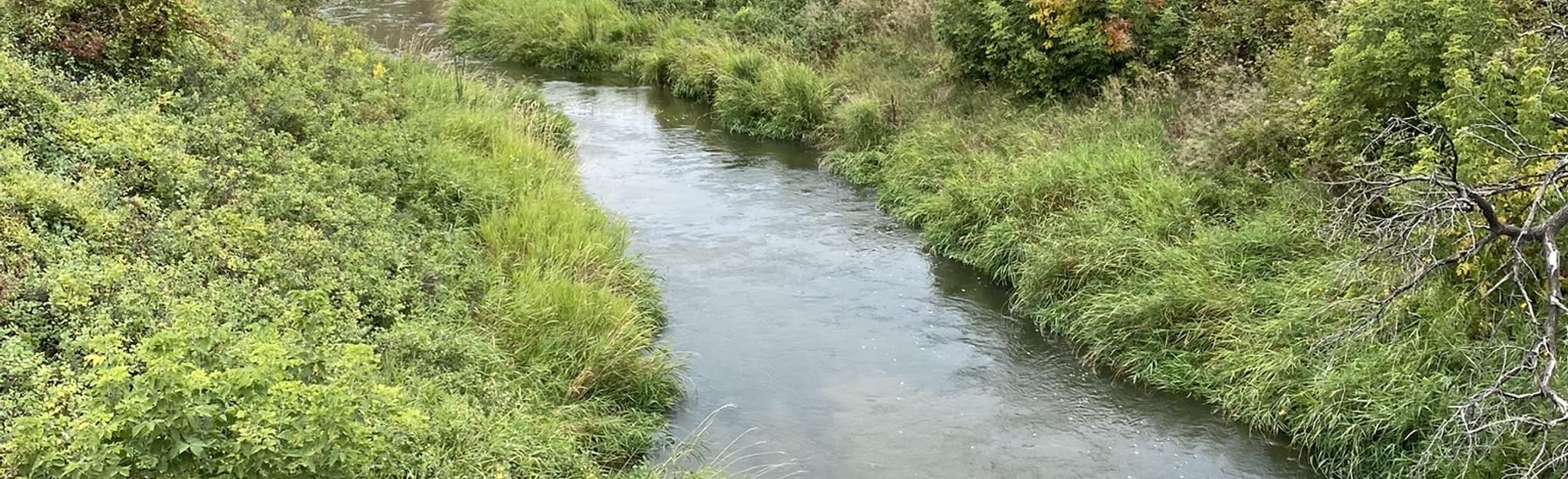 Seven Persons Creek and Saratoga Park Trail 163 Reviews, Map Alberta