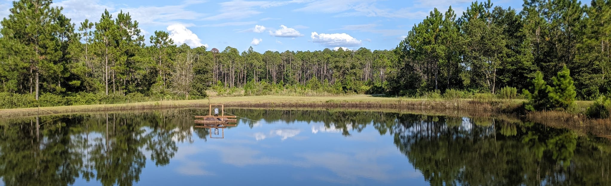 Escape to the Wild: Florida's Sandhill Hunt Camp Awaits