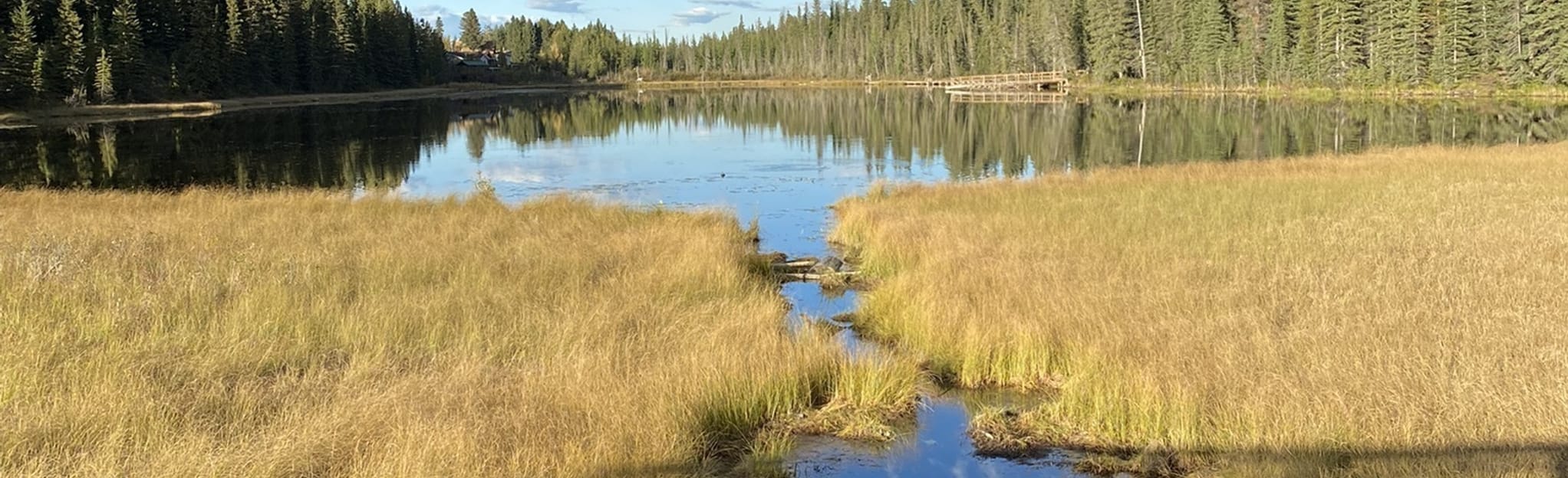 Bighorn, Bubba's, and Happy Creek 75 Fotos Alberta, Kanada AllTrails