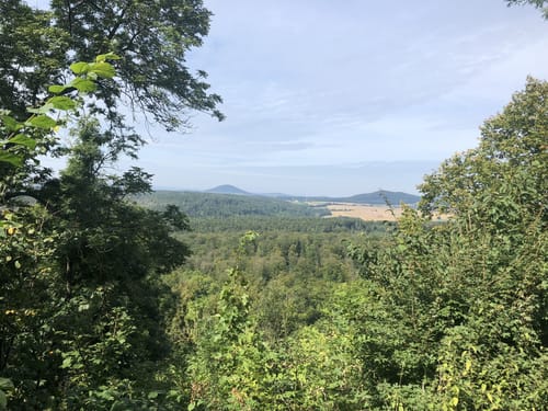 Um die Burgruine Falkenstein