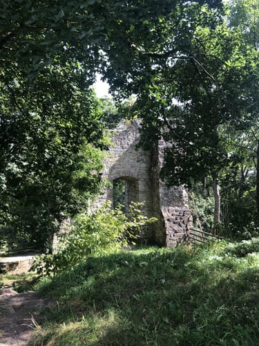 Um die Burgruine Falkenstein