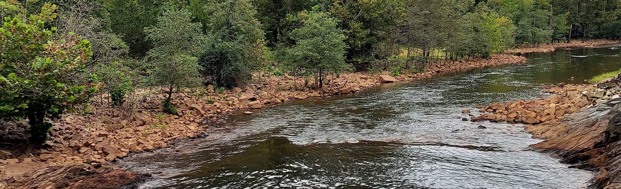 Gillham Lake Spillway Trail Arkansas AllTrails