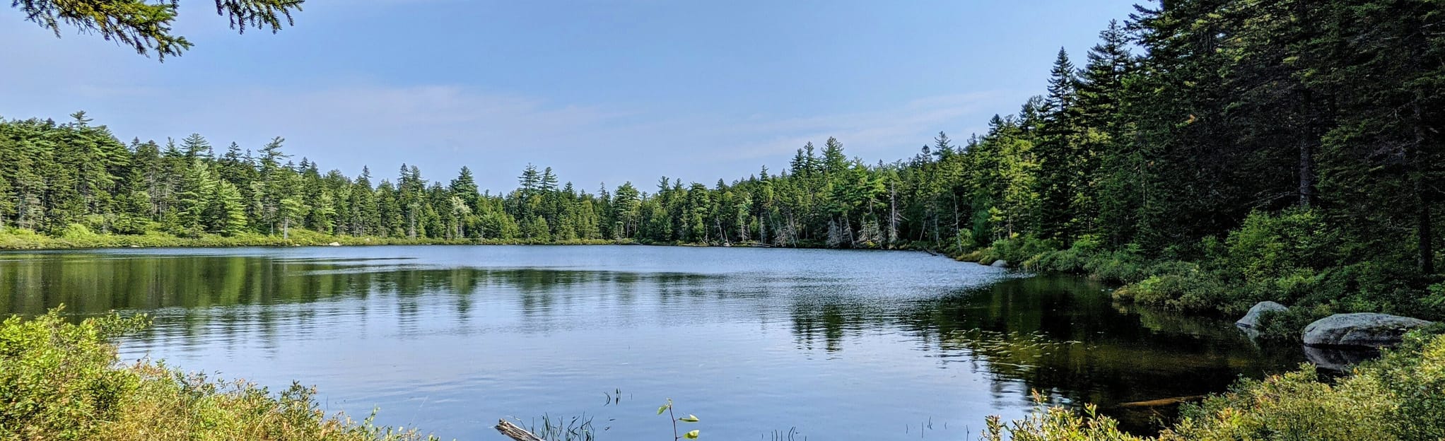 Tilden Pond Trail, Maine 12 Reviews, Map AllTrails