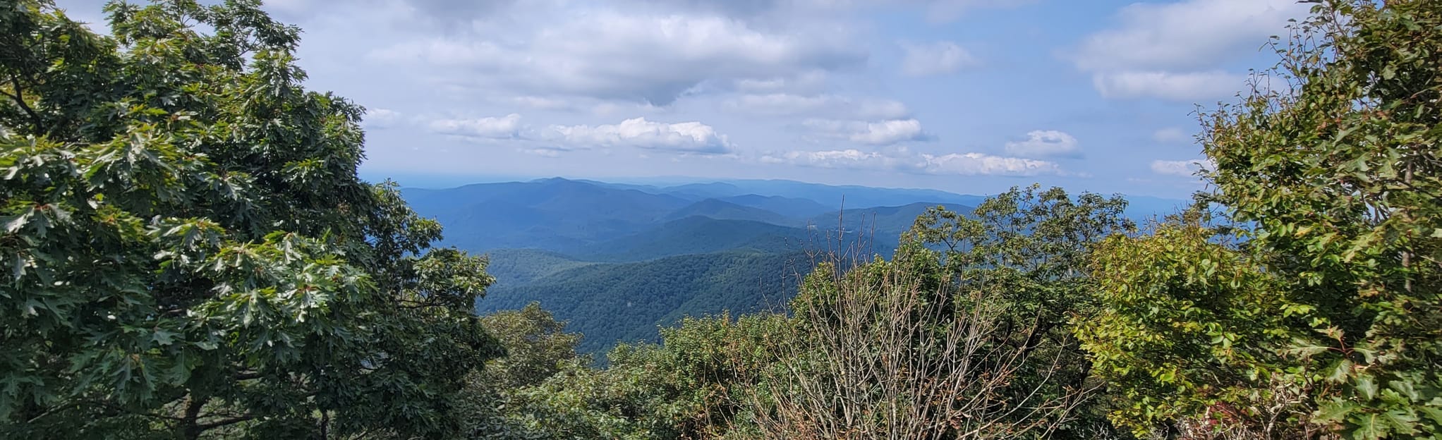 Blood Mountain via Byron Reece Trail, 2,953 Reviews, Map