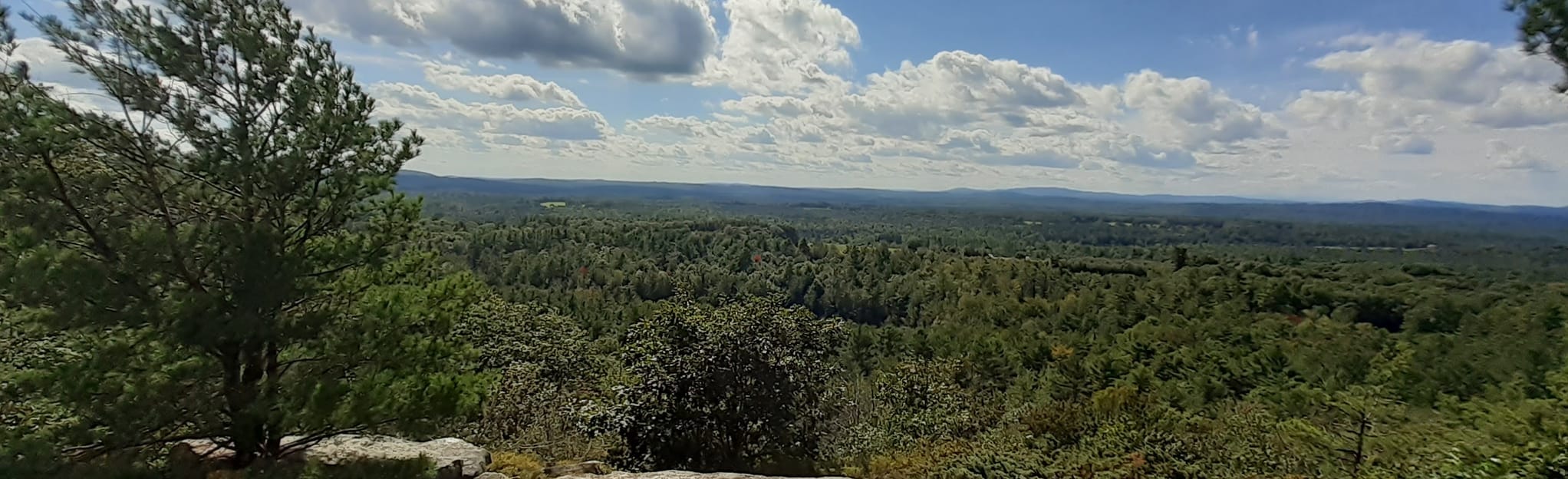 Monument Hill Trail 184 fotos Maine AllTrails