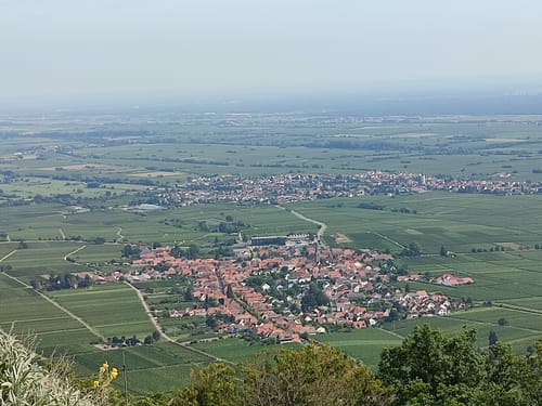 Rietburg Runde