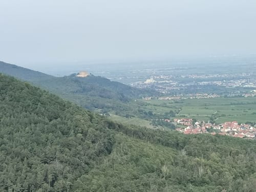 Rietburg Runde