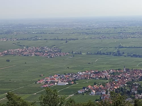 Rietburg Runde