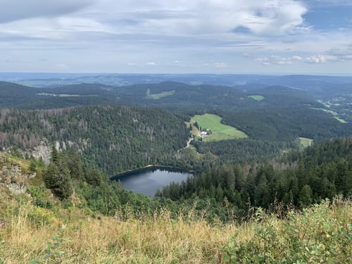 Feldbergsteig (Genießerpfad)