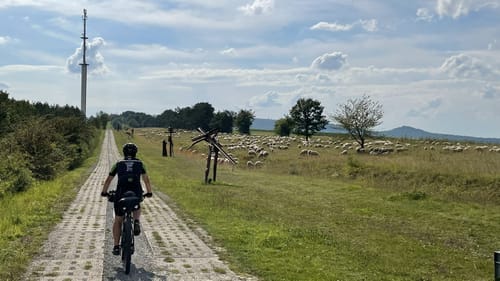 Radweg Grünes Band