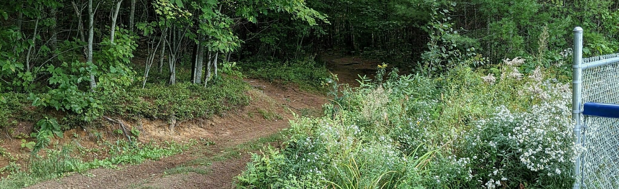 Dixfield Village Overlook Trail, Maine 5 Reviews, Map AllTrails