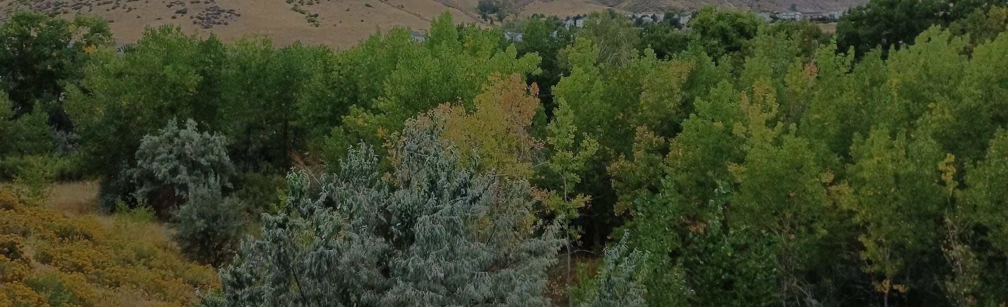 Clear Creek, Grant Ferry Trails Loop 830 Reviews, Map Colorado