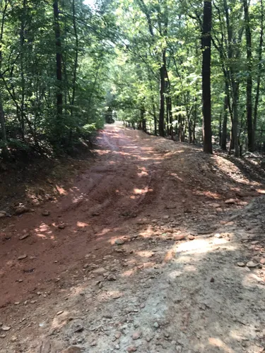 10 Best Off Road Driving Trails In North Carolina | AllTrails