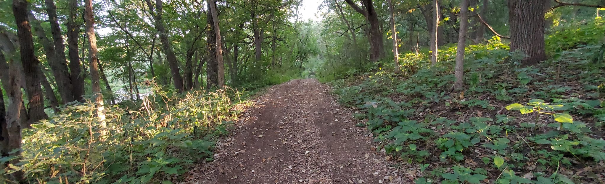 Bur Oak Campground Loop, Iowa 9 Reviews, Map AllTrails