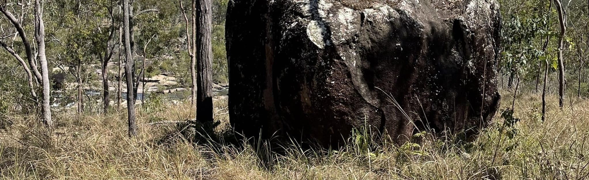 Blencoe Falls Lookout via Cashmere Kirrama Road [GESLOTEN] 11 foto's