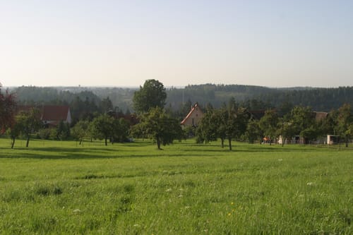 Unser Dorf hat Zukunft Weg - Äschenteich