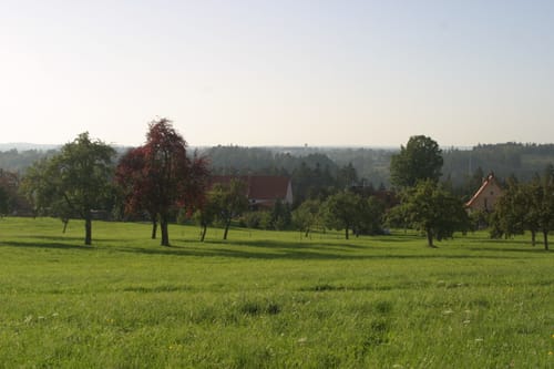 Unser Dorf hat Zukunft Weg - Äschenteich