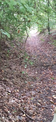 Nenzenheim Rundweg N1