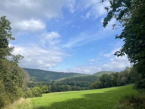 Wildnis Trail Etappe 4: Heimbach - Zerkall