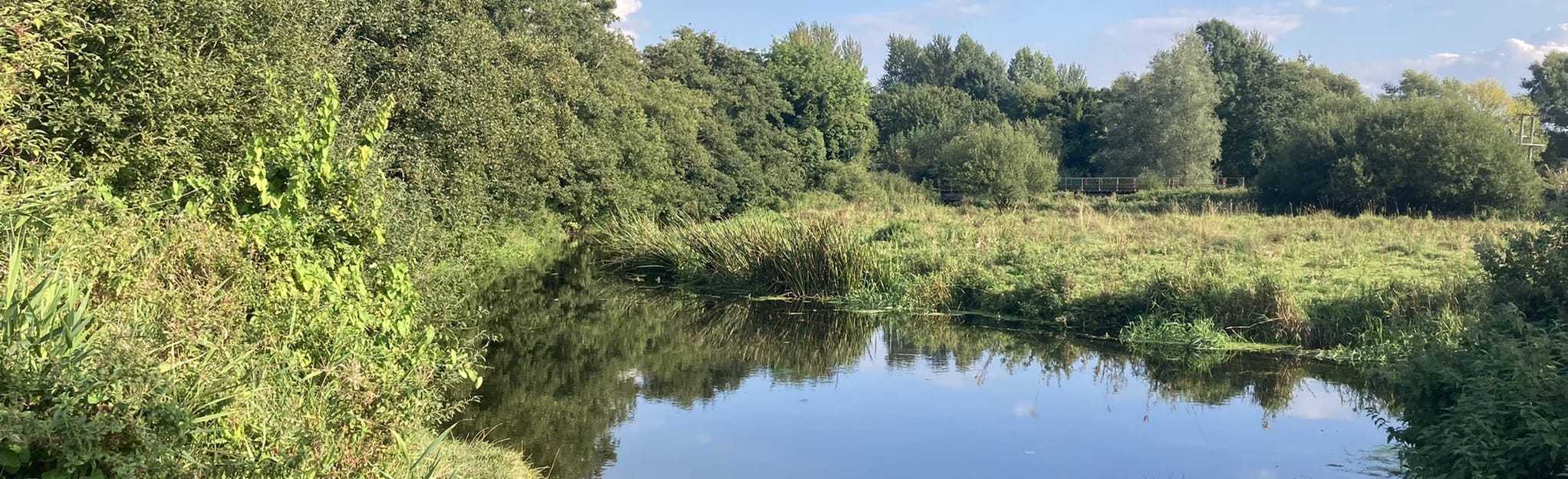 Marston Marsh Circular 51 Fotos Norfolk, England Wandern AllTrails