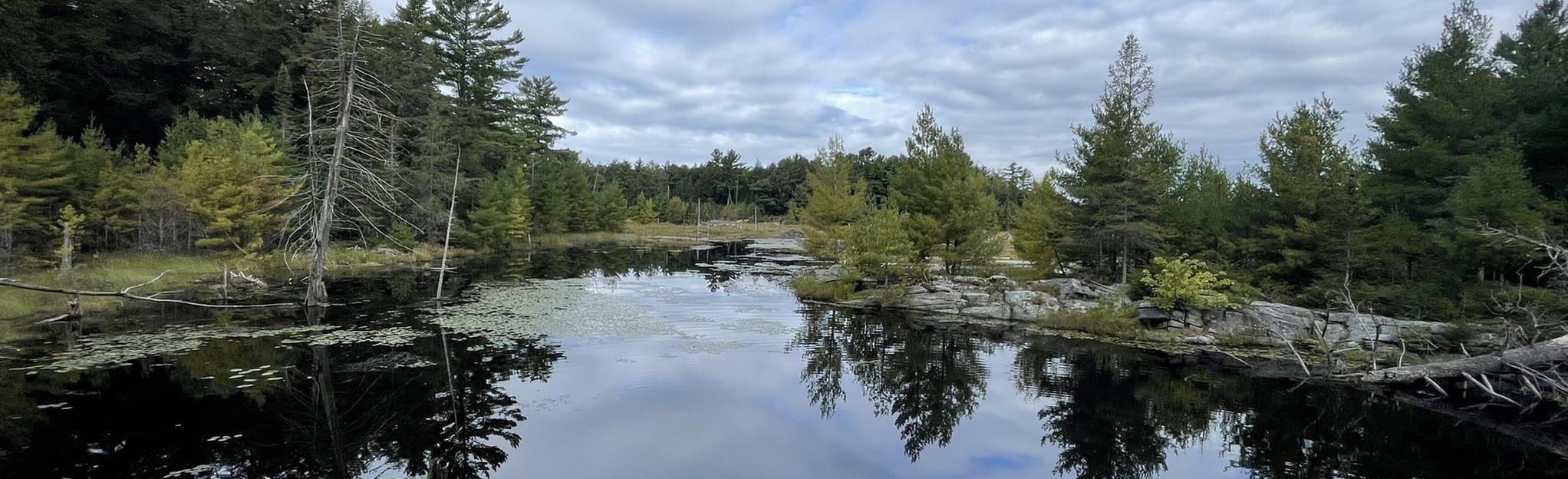 Granite Lake, Ontario, Canada 6 Reviews, Map AllTrails